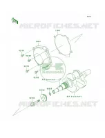 Recoil Starter pour Kawasaki Brute Force 750 4x4i