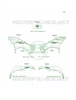 DecalsC.H.GreenE8FE9F pour Kawasaki Brute Force 750 4x4i Hardwoods Green HD