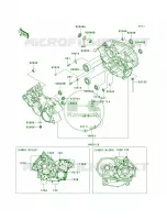 Crankcase pour Kawasaki Brute Force 650 4x4 Hardwoods Green HD