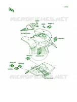 Label pour Kawasaki Mojave 250