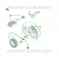 G&Eacute;N&Eacute;RATEUR pour Kawasaki KSF250