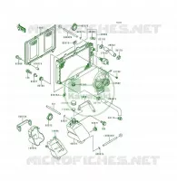 RADIATEUR pour Kawasaki KSF250