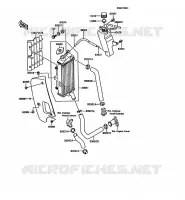 RADIATEUR pour Kawasaki KMX125