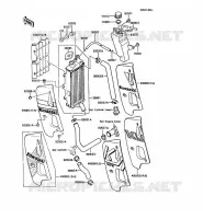 RADIATEUR pour Kawasaki KMX125