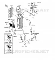 RADIATEUR pour Kawasaki KMX200