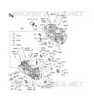 CARTER MOTEUR(S) pour Kawasaki VN1700 CLASSIC