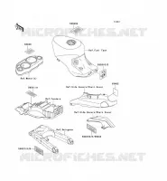 LABEL pour Kawasaki ZZR1100