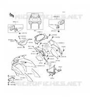 CARENAGE pour Kawasaki ZZR600