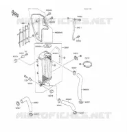 RADIATEUR pour Kawasaki KX100