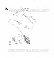 G&Eacute;N&Eacute;RATEUR pour Kawasaki KX250