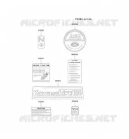 LABEL pour Kawasaki FE MOTORS