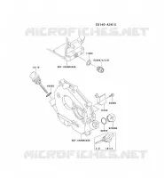 KIT DE GRAISSAGE pour Kawasaki FE MOTORS