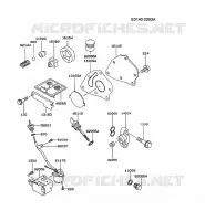 KIT DE GRAISSAGE pour Kawasaki FE MOTORS