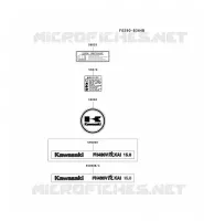 LABEL pour Kawasaki FH MOTORS