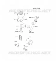 KIT DE GRAISSAGE pour Kawasaki FH MOTORS
