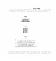 LABEL pour Kawasaki FR MOTORS