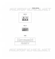 LABEL pour Kawasaki FR MOTORS