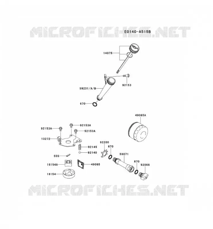 KIT DE GRAISSAGE Kawasaki Petits Moteurs FS FS541V FS MOTORS  FS541V-DS04
