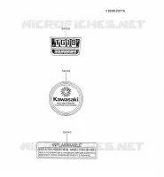 LABEL pour Kawasaki TG MOTORS