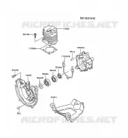 CULASSE/CARTER MOTEUR pour Kawasaki TG MOTORS