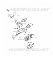 CARENAGE pour Kawasaki Z300 ABS