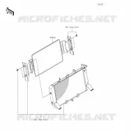 Accessory(Radiator Guard) pour Kawasaki Z900RS CAFE