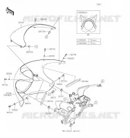 CARENAGE pour Kawasaki Z900RS CAFE