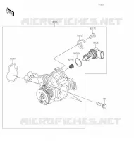 CARBU pour Kawasaki Z125