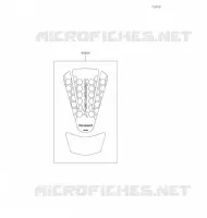 Accessory(Tank Pad) pour Kawasaki VERSYS-X 300