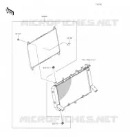 ACCESSOIRE(Radiator Guard) pour Kawasaki Z900RS