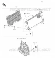 ACCESSOIRE(Radiator Screen and Cap) pour Kawasaki NINJA 650