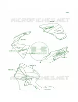 DecalsGreenWhiteVioletZX900 B2 pour Kawasaki Ninja ZX-9R