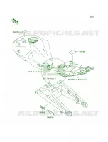 Labels pour Kawasaki ER-6n 